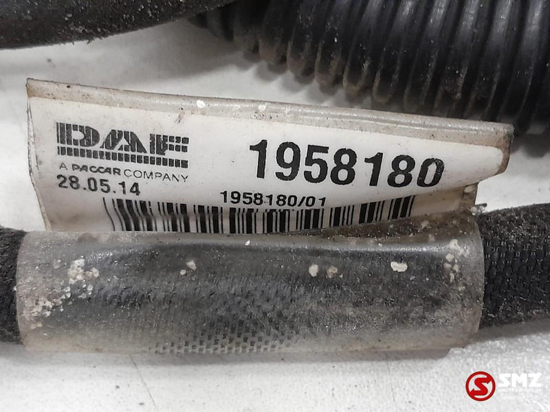 DAF Occ koplampkabelboom DAF - Cables/ Alambres para Camión: foto 3 DAF Occ koplampkabelboom DAF - Cables/ Alambres para Camión: foto 3
