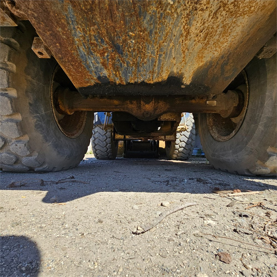 Cargadora de ruedas Hanomag 44D Turbo: foto 35