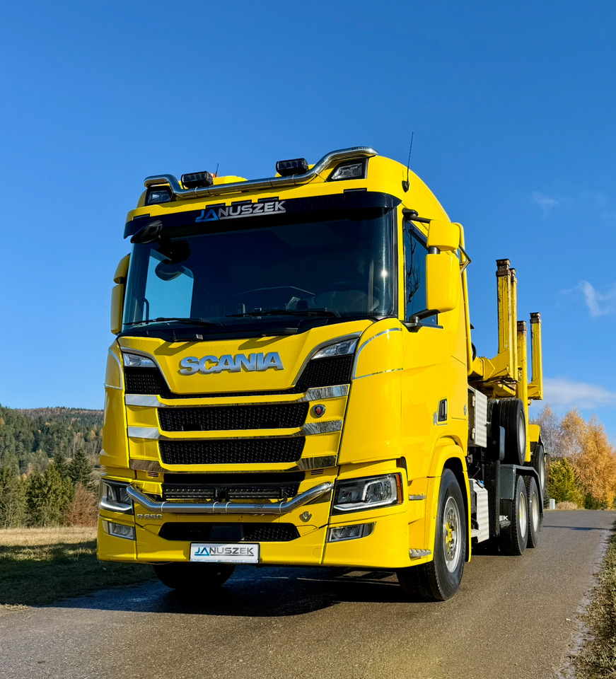 Camión forestal, Camión grúa SCANIA R650: foto 10