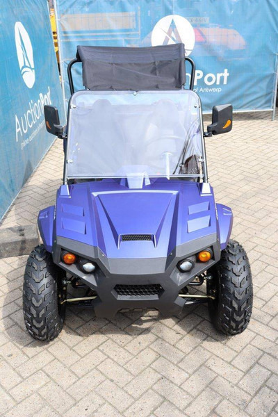 Carrito de golf nuevo Wextrem UTV-ATV 200Pro: foto 7