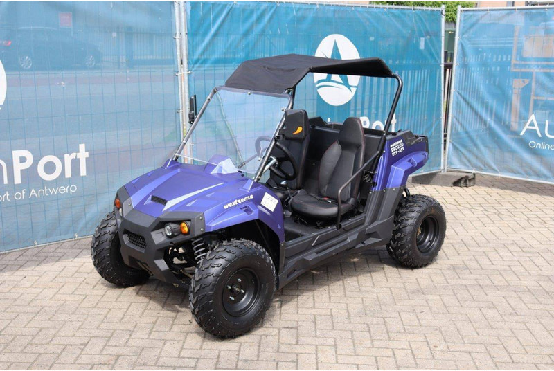 Carrito de golf nuevo Wextrem UTV-ATV 200Pro: foto 8