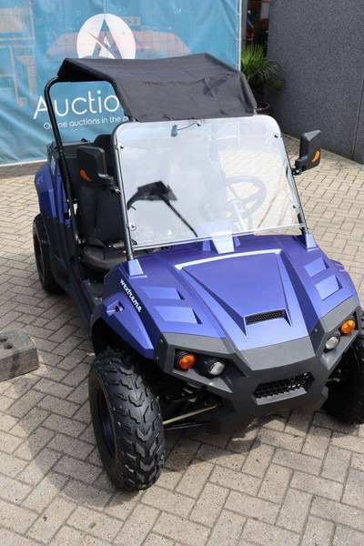 Carrito de golf nuevo Wextrem UTV-ATV 200Pro: foto 6