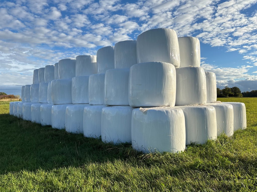 1:a skörd - Maquinaria ganadera: foto 1 1:a skörd - Maquinaria ganadera: foto 1