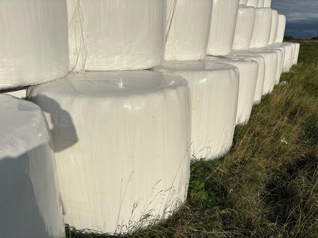 1:a skörd - Maquinaria ganadera: foto 4 1:a skörd - Maquinaria ganadera: foto 4