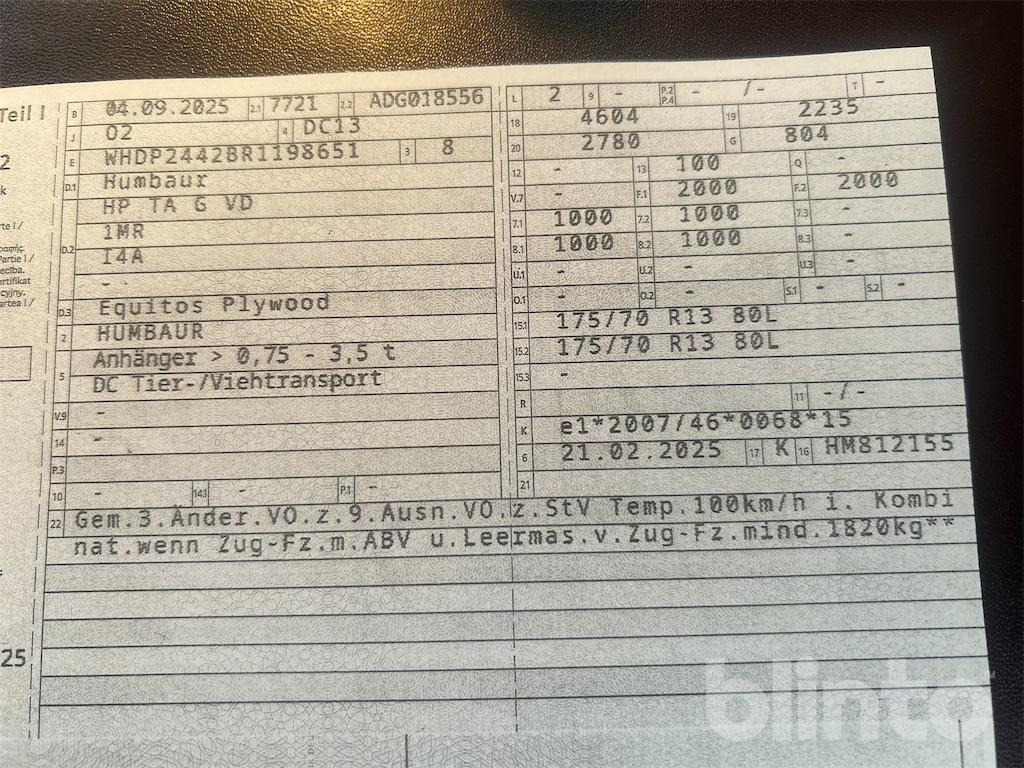 Humbauer Equitos Plywood (2025) - Remolque para caballos: foto 5 Humbauer Equitos Plywood (2025) - Remolque para caballos: foto 5