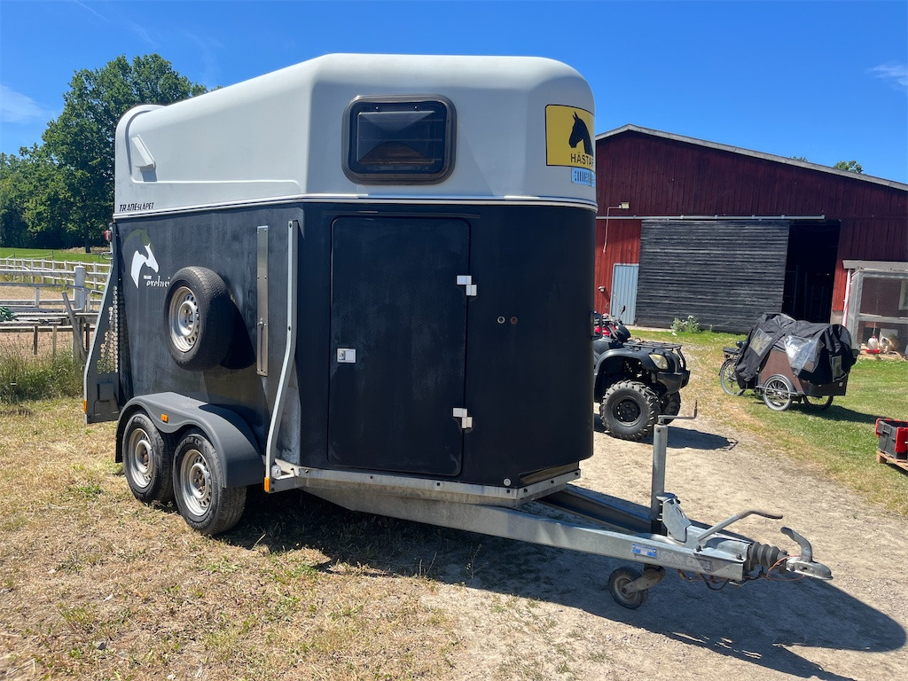 TGAB TE2000BSV - Remolque para caballos: foto 3 TGAB TE2000BSV - Remolque para caballos: foto 3