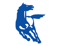 KamAZ 53504-6020-46 53504-6020-46 - Datos técnicos